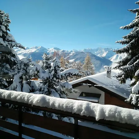 Taipan Verbier